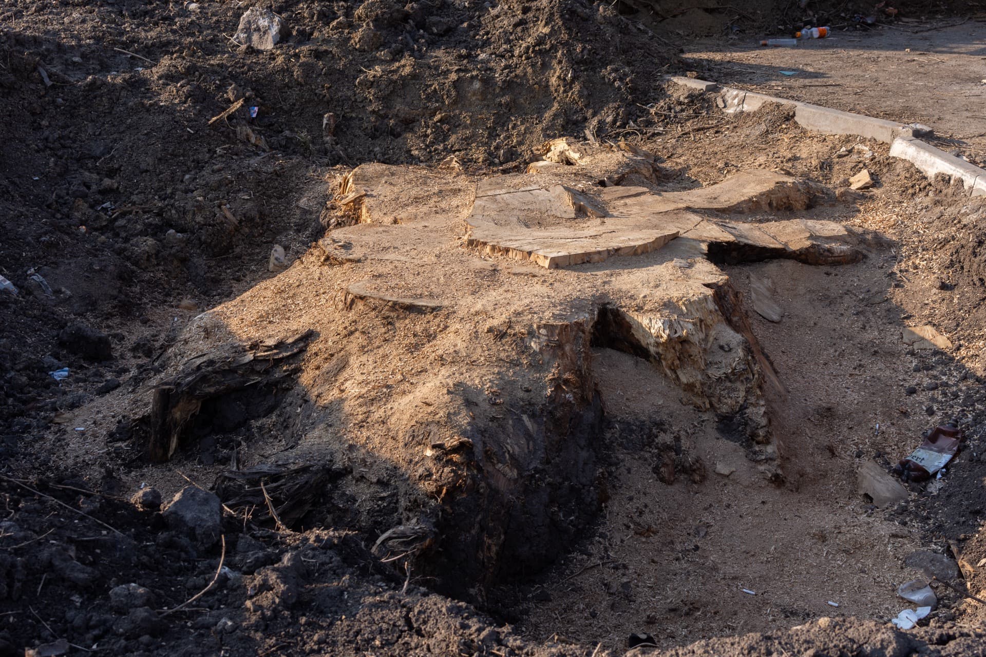 Abattage & Déssouchage d'arbres 02 Aisne