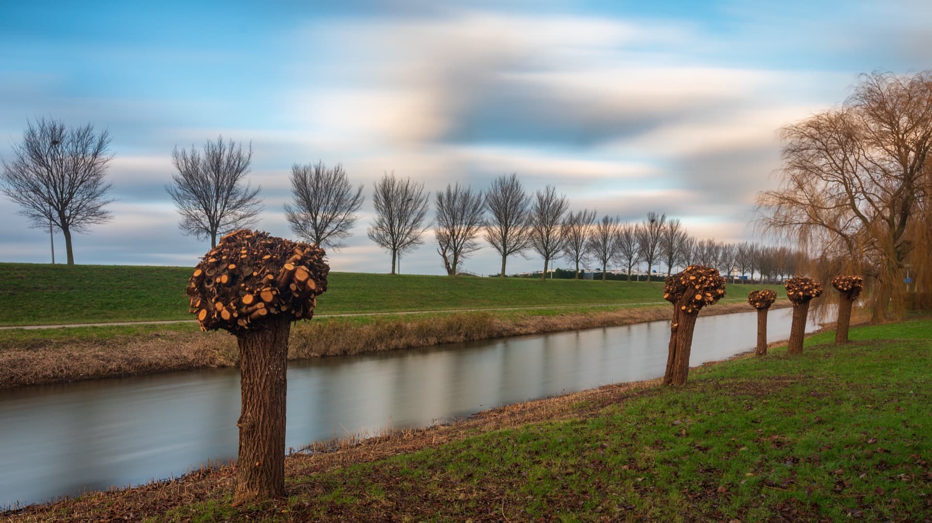 Élagage & Étêtage 02 Aisne