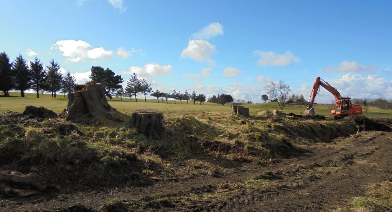 Abattage & Déssouchage d'arbres 02 Aisne
