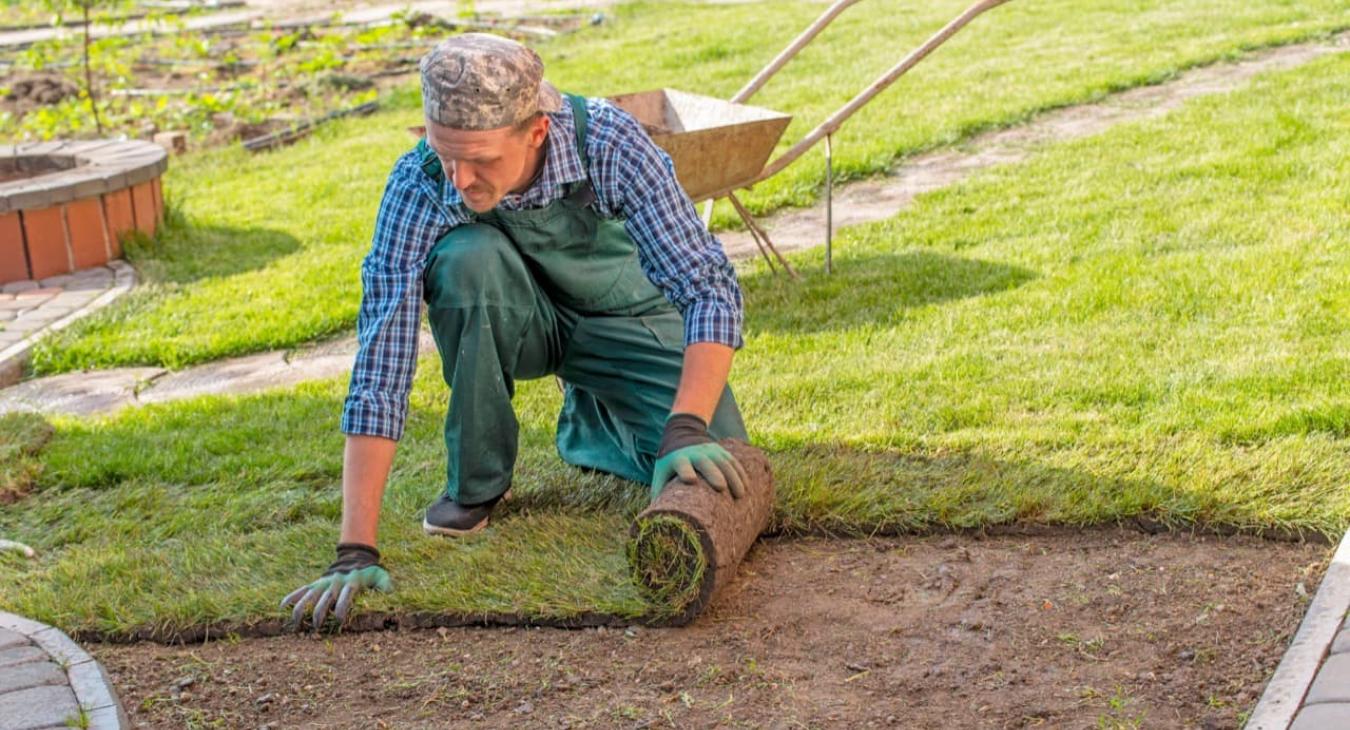 Pose de gazon en rouleaux 02 Aisne